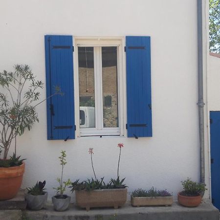 Maison Occitane Saint-Nazaire-d'Aude Bagian luar foto